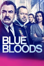 Blue Bloods: Season 9