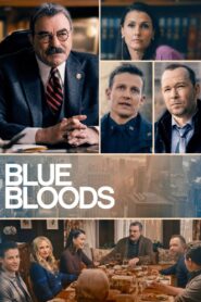 Blue Bloods: Season 13