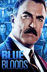 Blue Bloods: Season 4