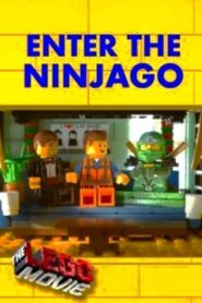 Enter the Ninjago