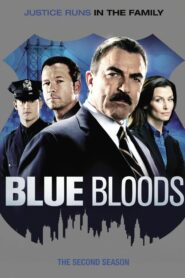 Blue Bloods: Season 2